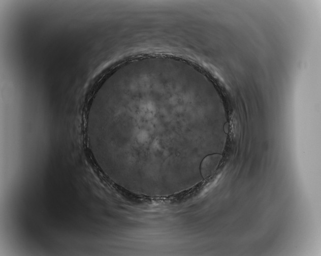 X0000099961494200805301303