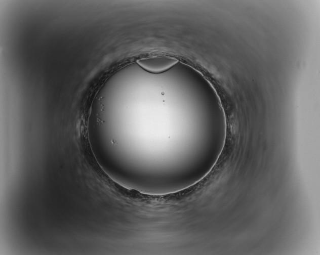 X0000099961495200805301303