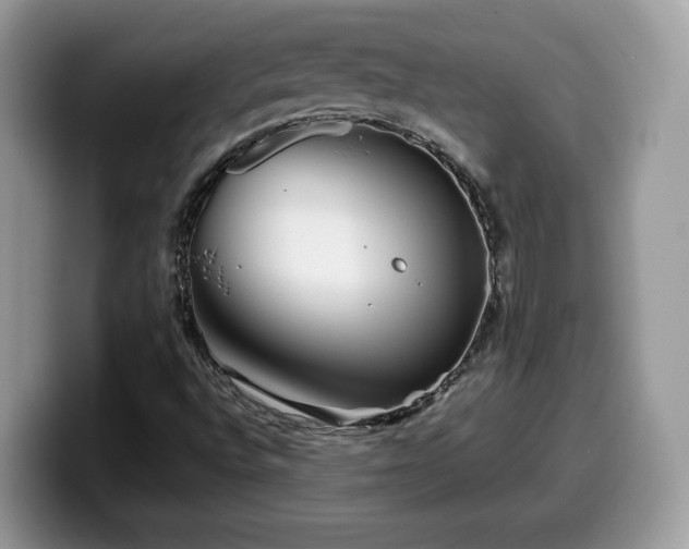 X0000099961496200805301303