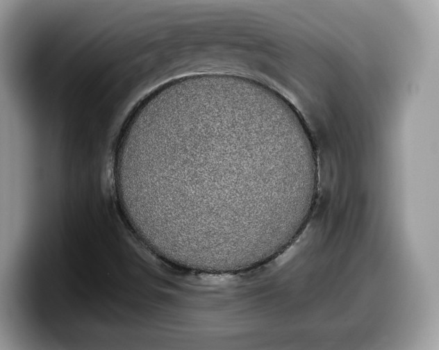 X0000099961498200805301303