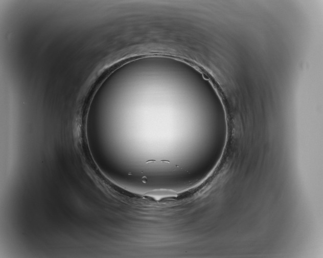 X0000099961499200805301303