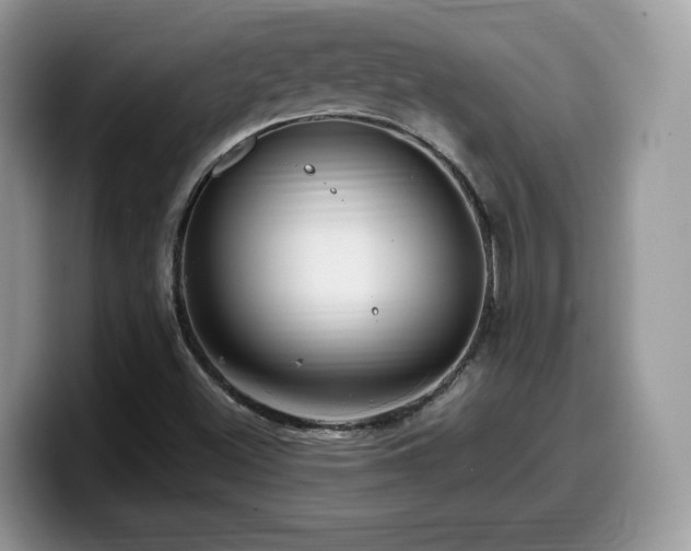 X0000099961500200805301303