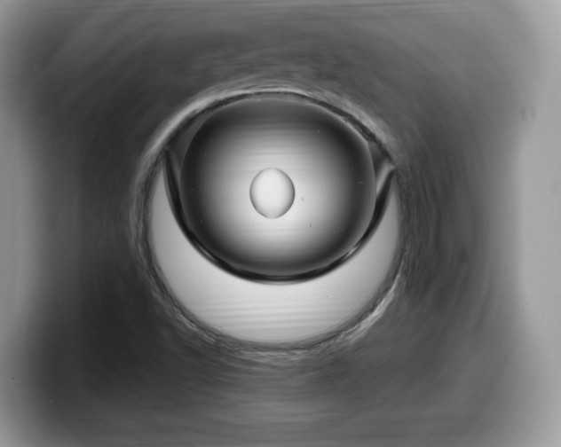 X0000099961502200805301303
