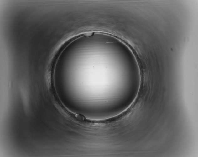 X0000099961503200805301303