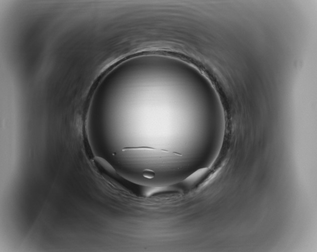 X0000099961505200805301303