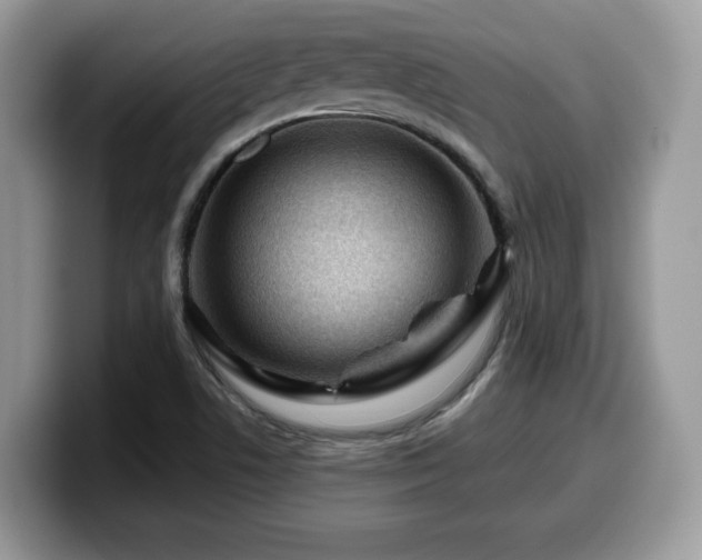 X0000099961506200805301303