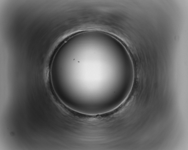 X0000099961507200805301303