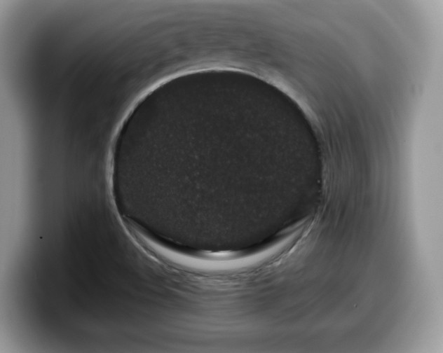 X0000099961508200805301303