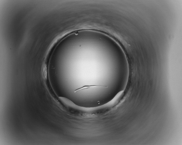 X0000099961509200805301303