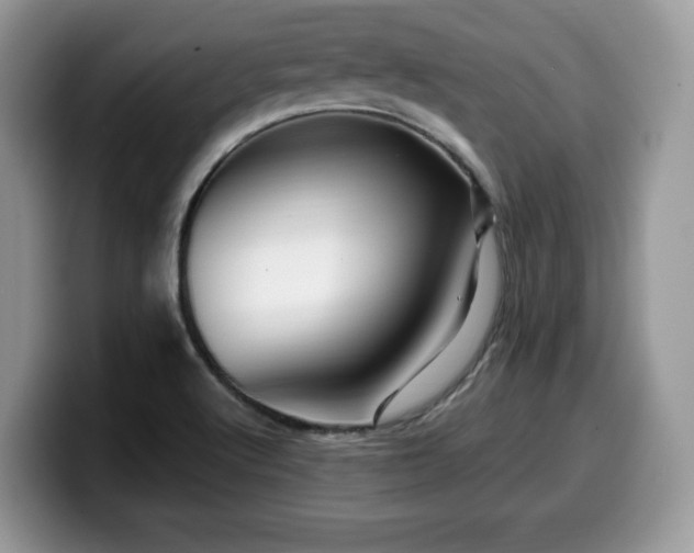 X0000099961512200805301304