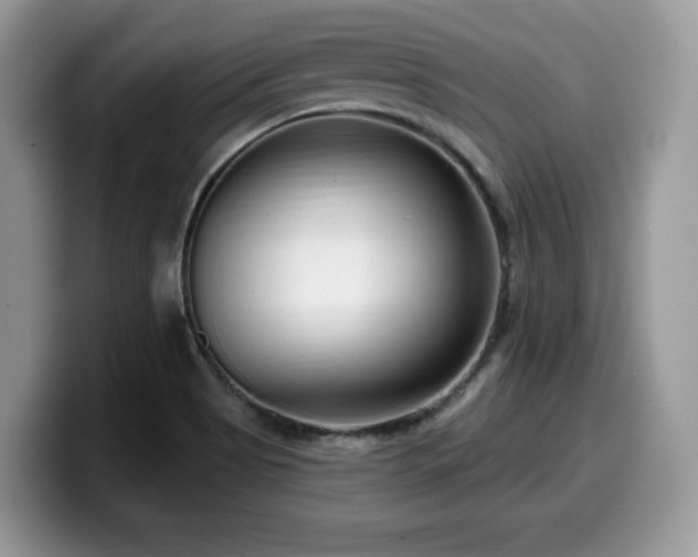 X0000099961513200805301304