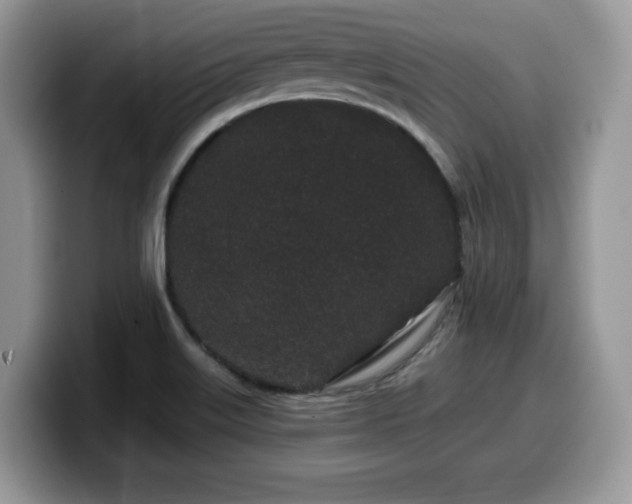 X0000099961515200805301304