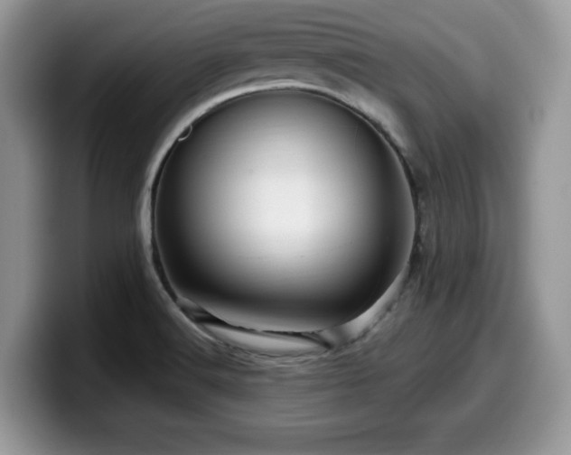X0000099961516200805301304