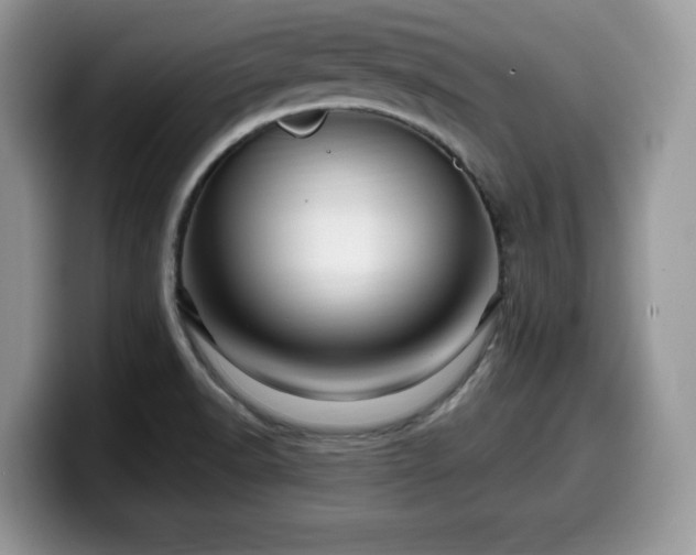 X0000099961518200805301304