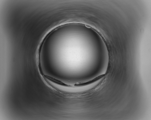 X0000099961519200805301304