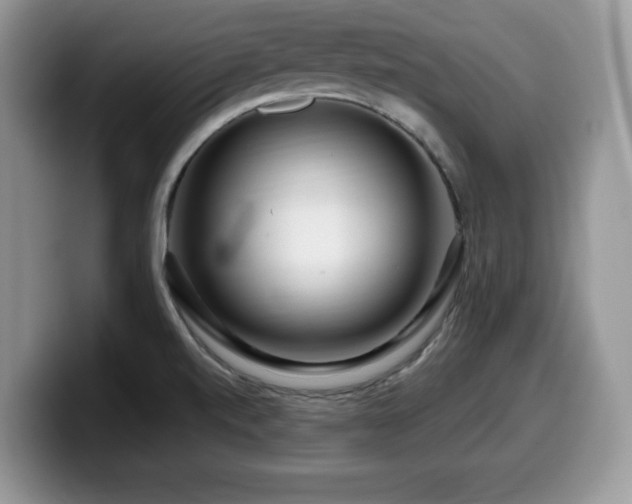 X0000099961520200805301304