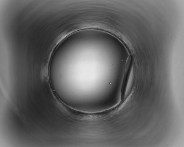 X0000099961521200805301304