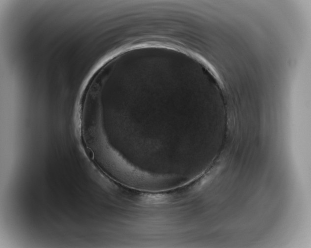 X0000099961522200805301304