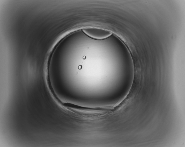 X0000099961523200805301304