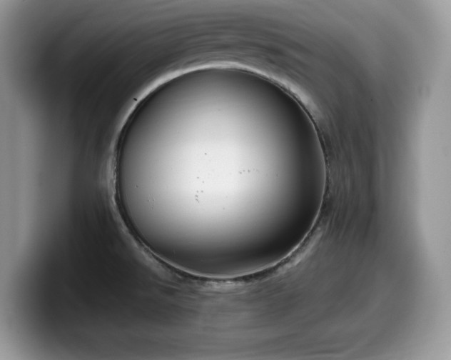 X0000099961526200805301304