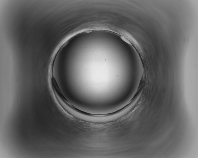X0000099961528200805301304