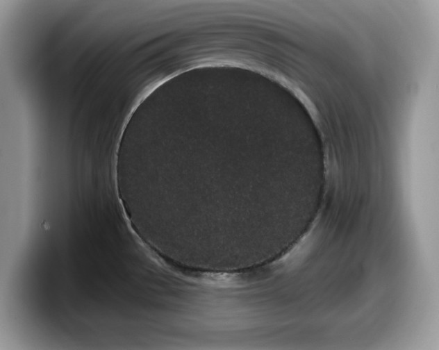 X0000099961529200805301304