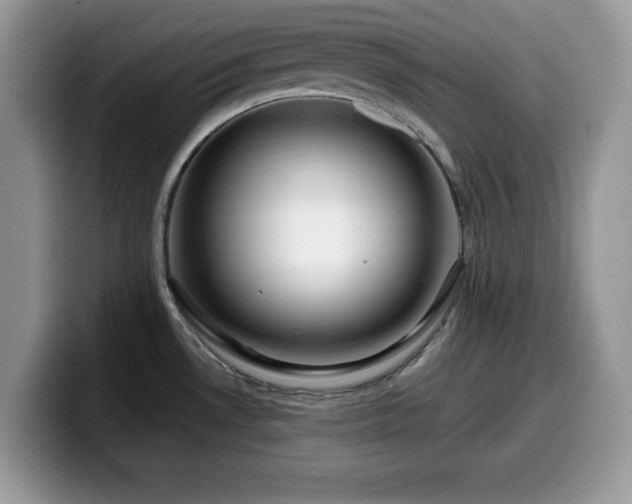 X0000099961530200805301304