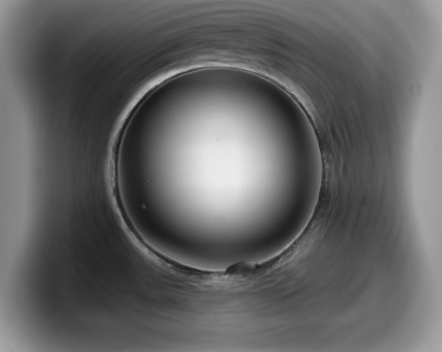X0000099961531200805301304