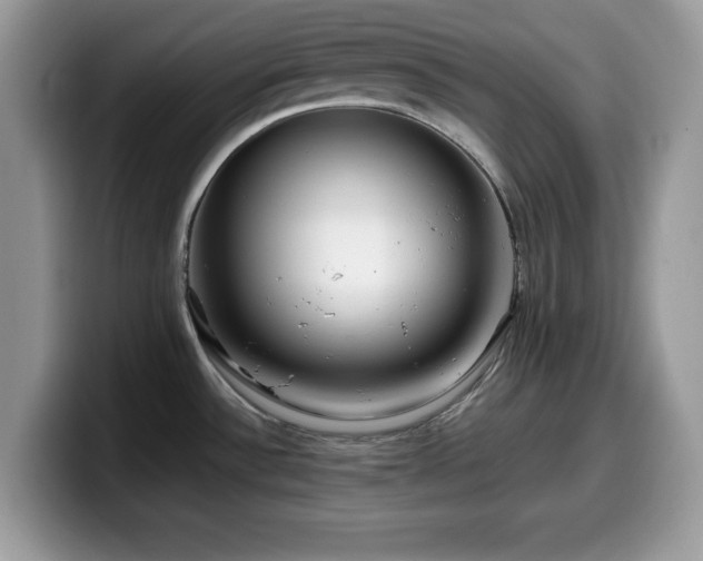 X0000099961532200805301304