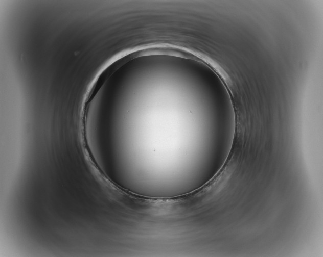 X0000099961534200805301304