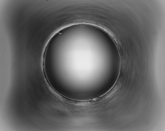 X0000099961535200805301304