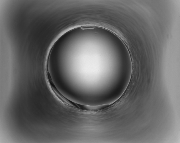 X0000099961536200805301304