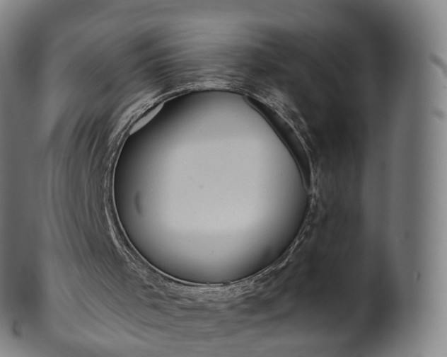 X0000099960001200806061617