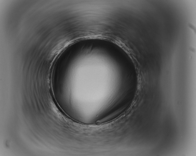 X0000099960002200806061617
