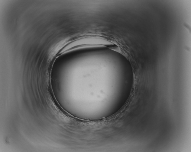 X0000099960005200806061617