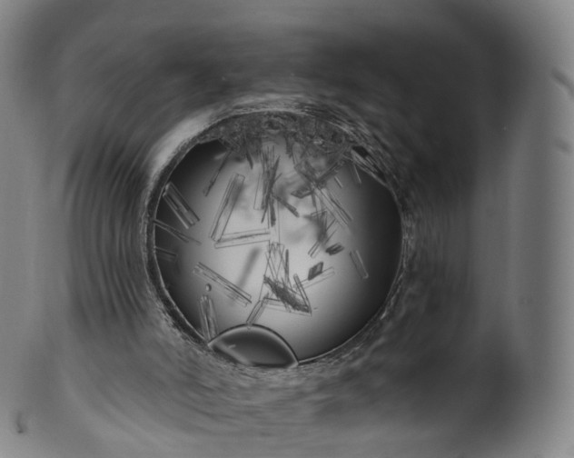 X0000099960006200806061617