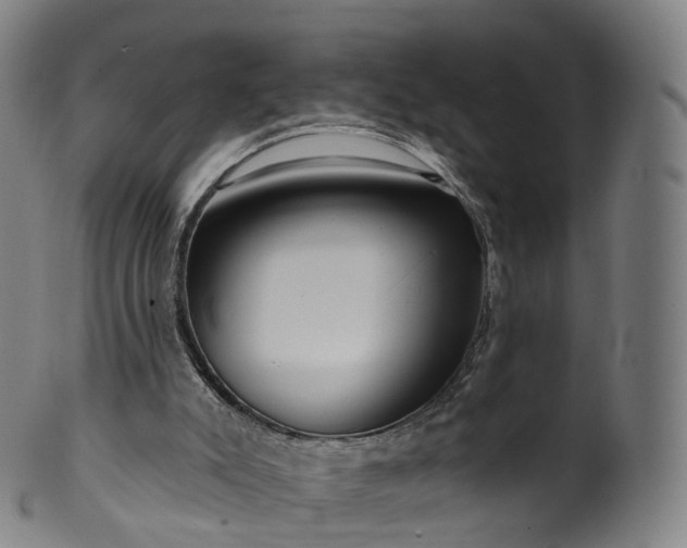 X0000099960007200806061617