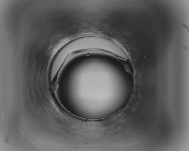 X0000099960008200806061617
