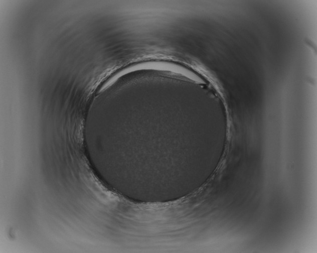 X0000099960009200806061617