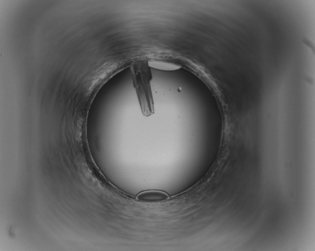X0000099960010200806061617