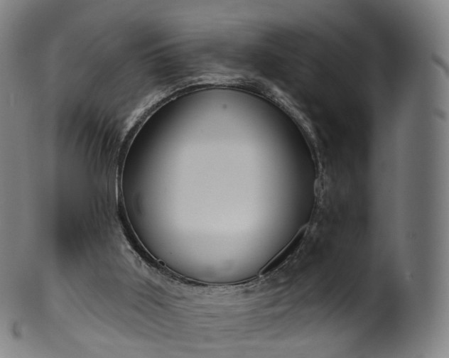 X0000099960011200806061617