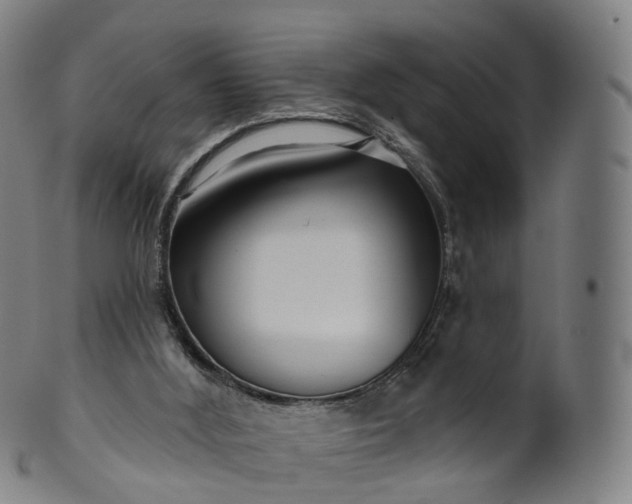 X0000099960012200806061617