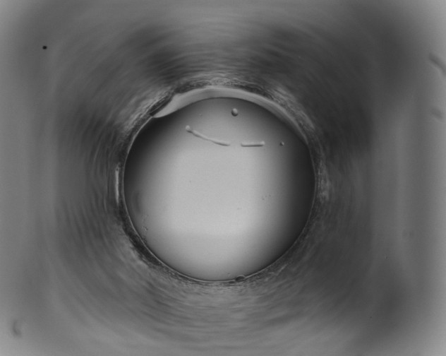 X0000099960014200806061617
