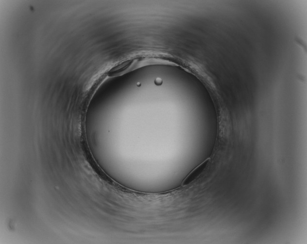 X0000099960015200806061617