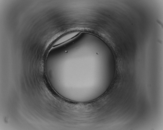 X0000099960016200806061617