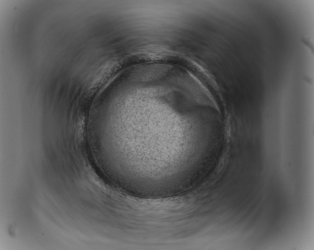 X0000099960018200806061617