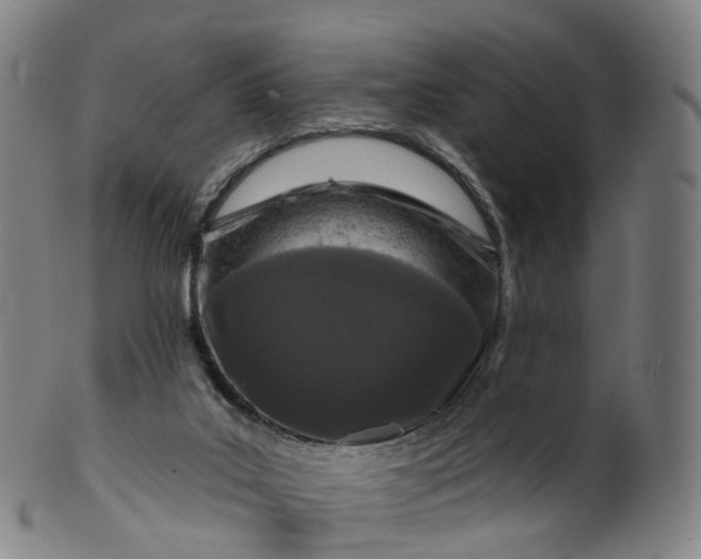 X0000099960019200806061617