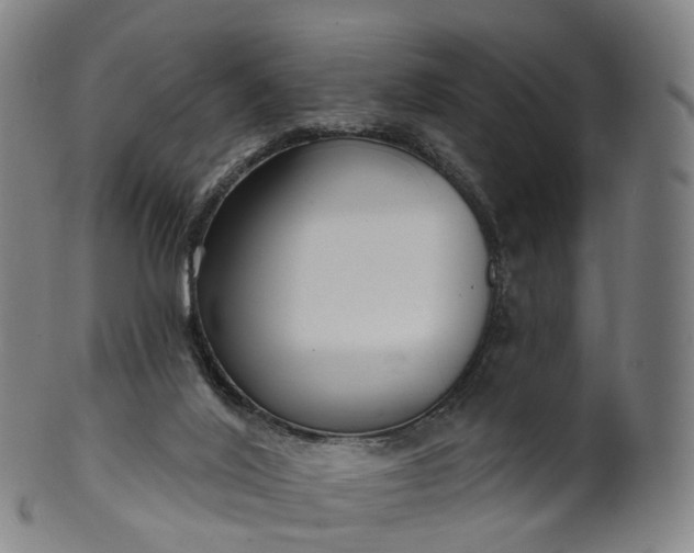 X0000099960020200806061617