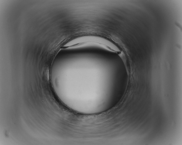 X0000099960021200806061617
