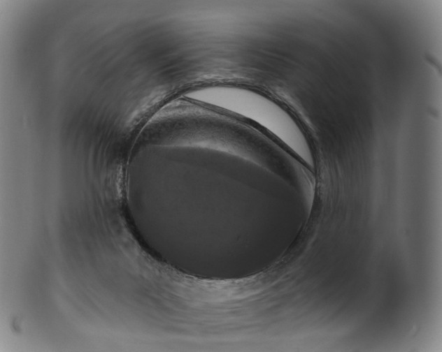 X0000099960023200806061616